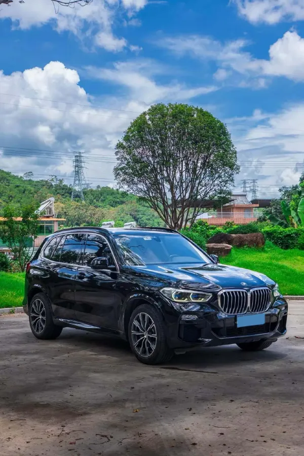 2019 BMW X5 3.0T 340HP L6 8AT,autocango,china used car exporter,china ev exporter,chinese used car exporter,chinese used ev exporter