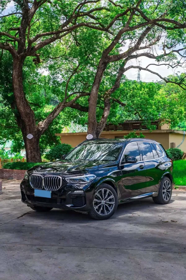 2019 BMW X5 3.0T 340HP L6 8AT,autocango,china used car exporter,china ev exporter,chinese used car exporter,chinese used ev exporter