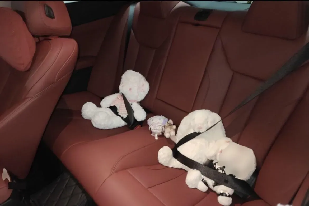 2024 BMW 4 Series 2.0T 184HP L4 8AT,autocango,china used car exporter,china ev exporter,chinese used car exporter,chinese used ev exporter