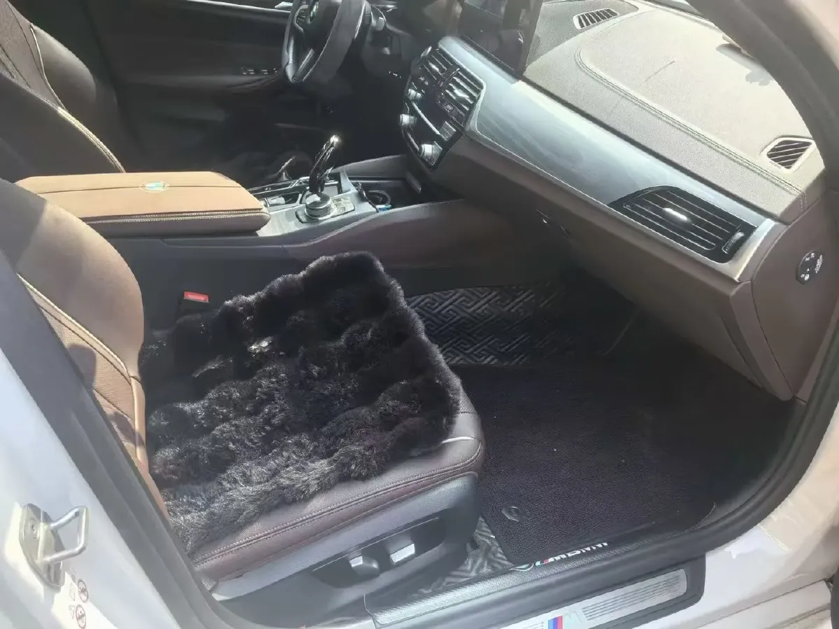 2022 BMW 5 Series 2.0T 252HP L4 8AT,autocango,china used car exporter,china ev exporter,chinese used car exporter,chinese used ev exporter