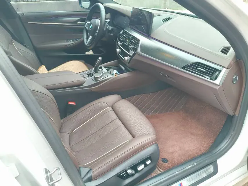 2021 BMW 5 Series 2.0T 184HP L4 8AT PHEV 17.7KWH,autocango,china used car exporter,china ev exporter,chinese used car exporter,chinese used ev exporter