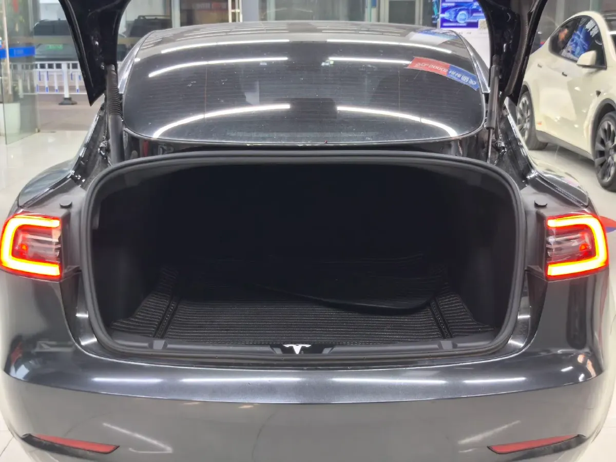 2021 Tesla Model 3 BEV 55KWH,autocango,china used car exporter,china ev exporter,chinese used car exporter,chinese used ev exporter
