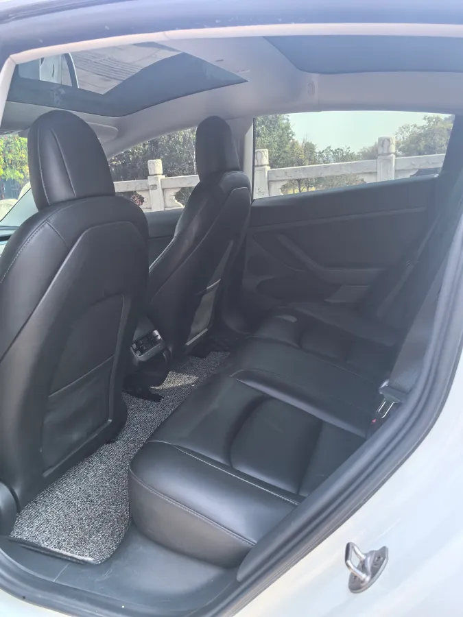 2021 Tesla Model 3 BEV 55KWH,autocango,china used car exporter,china ev exporter,chinese used car exporter,chinese used ev exporter