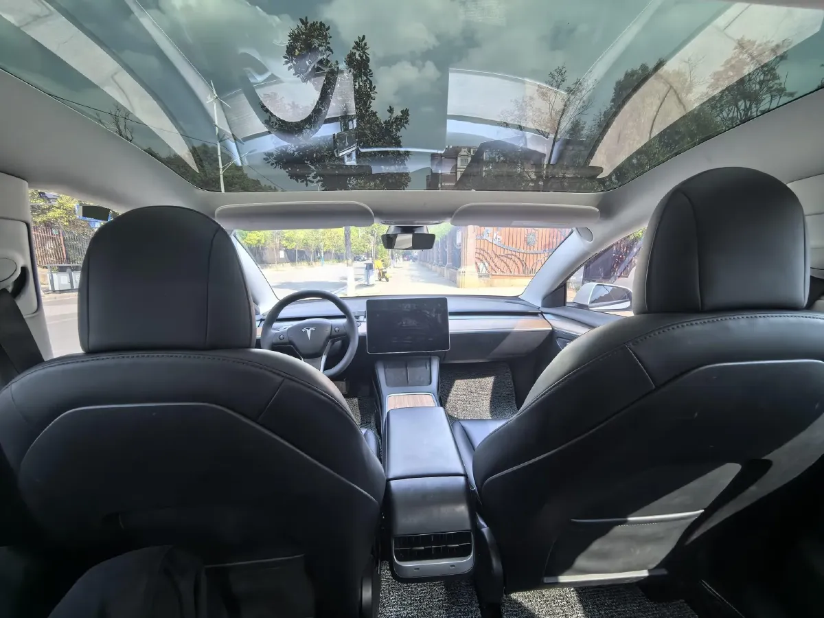 2021 Tesla Model 3 BEV 55KWH,autocango,china used car exporter,china ev exporter,chinese used car exporter,chinese used ev exporter