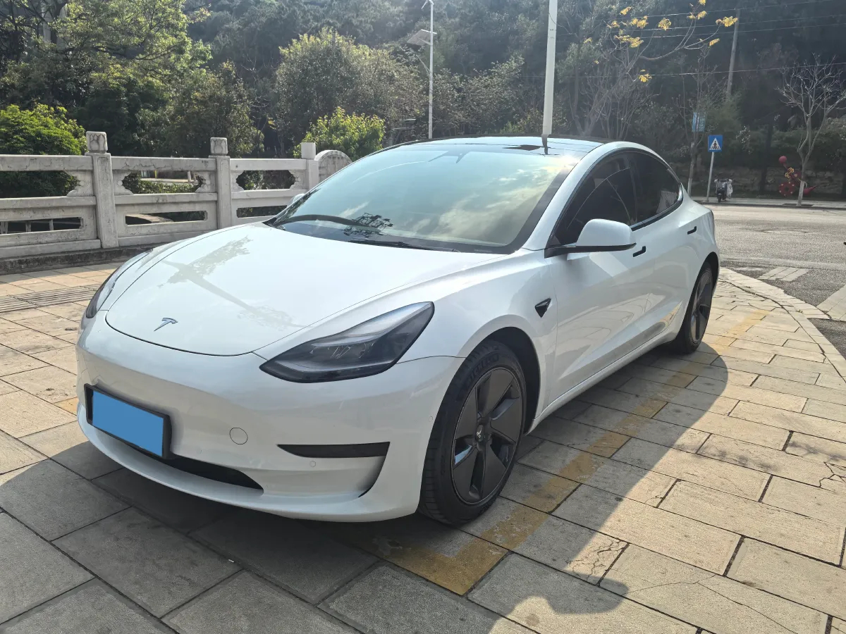 2021 Tesla Model 3 BEV 55KWH,autocango,china used car exporter,china ev exporter,chinese used car exporter,chinese used ev exporter