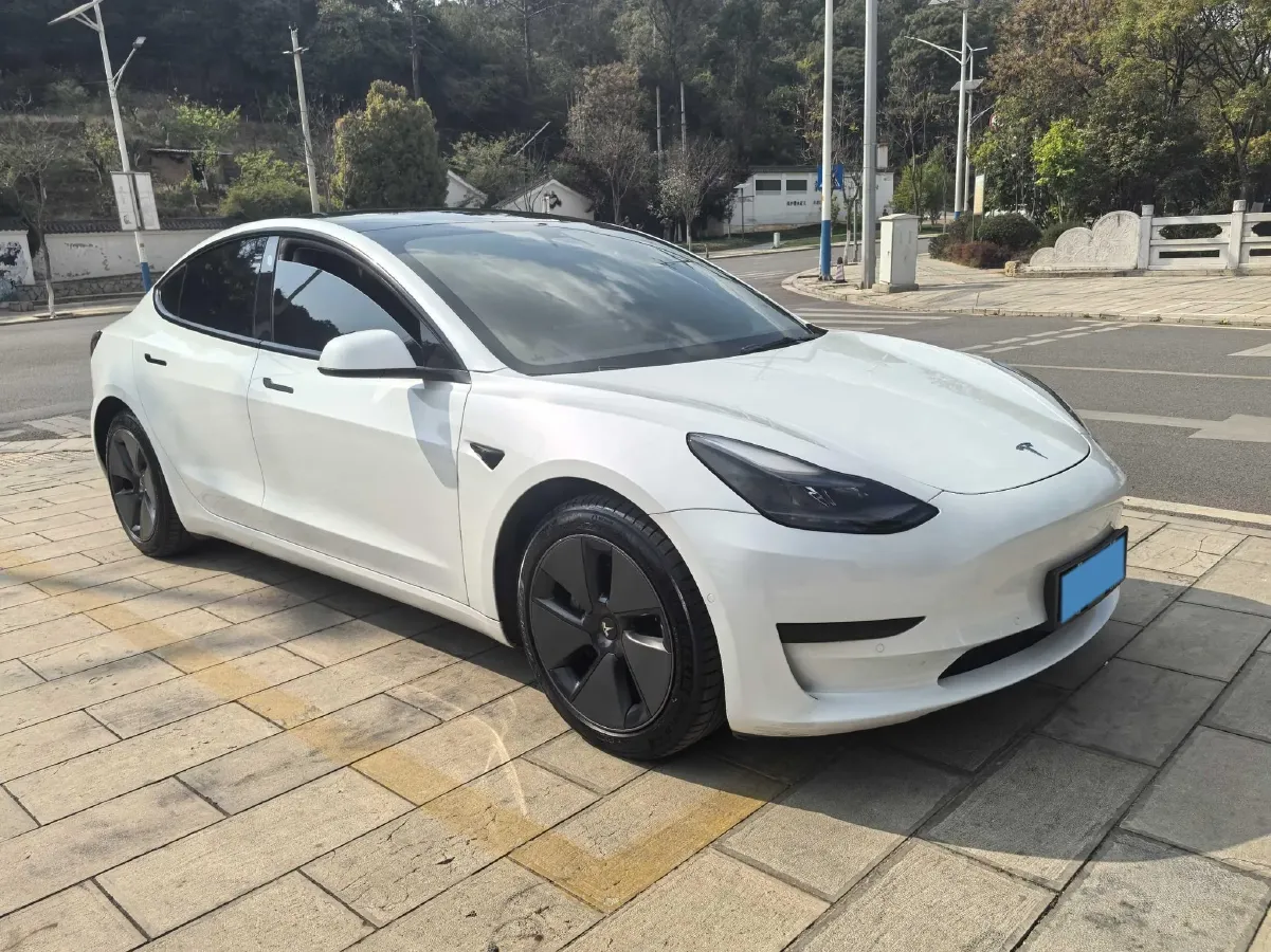 2021 Tesla Model 3 BEV 55KWH,autocango,china used car exporter,china ev exporter,chinese used car exporter,chinese used ev exporter