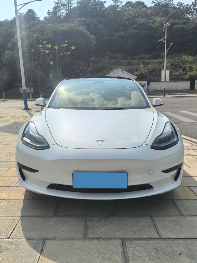 2021 Tesla Model 3 BEV 55KWH,autocango,china used car exporter,china ev exporter,chinese used car exporter,chinese used ev exporter
