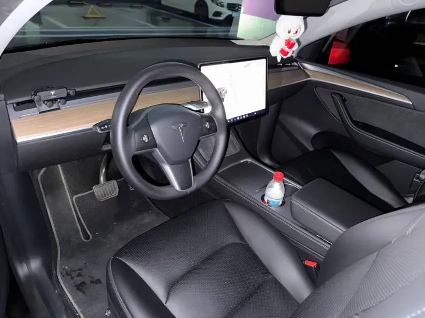 2021 Tesla Model Y BEV 60KWH,autocango,china used car exporter,china ev exporter,chinese used car exporter,chinese used ev exporter