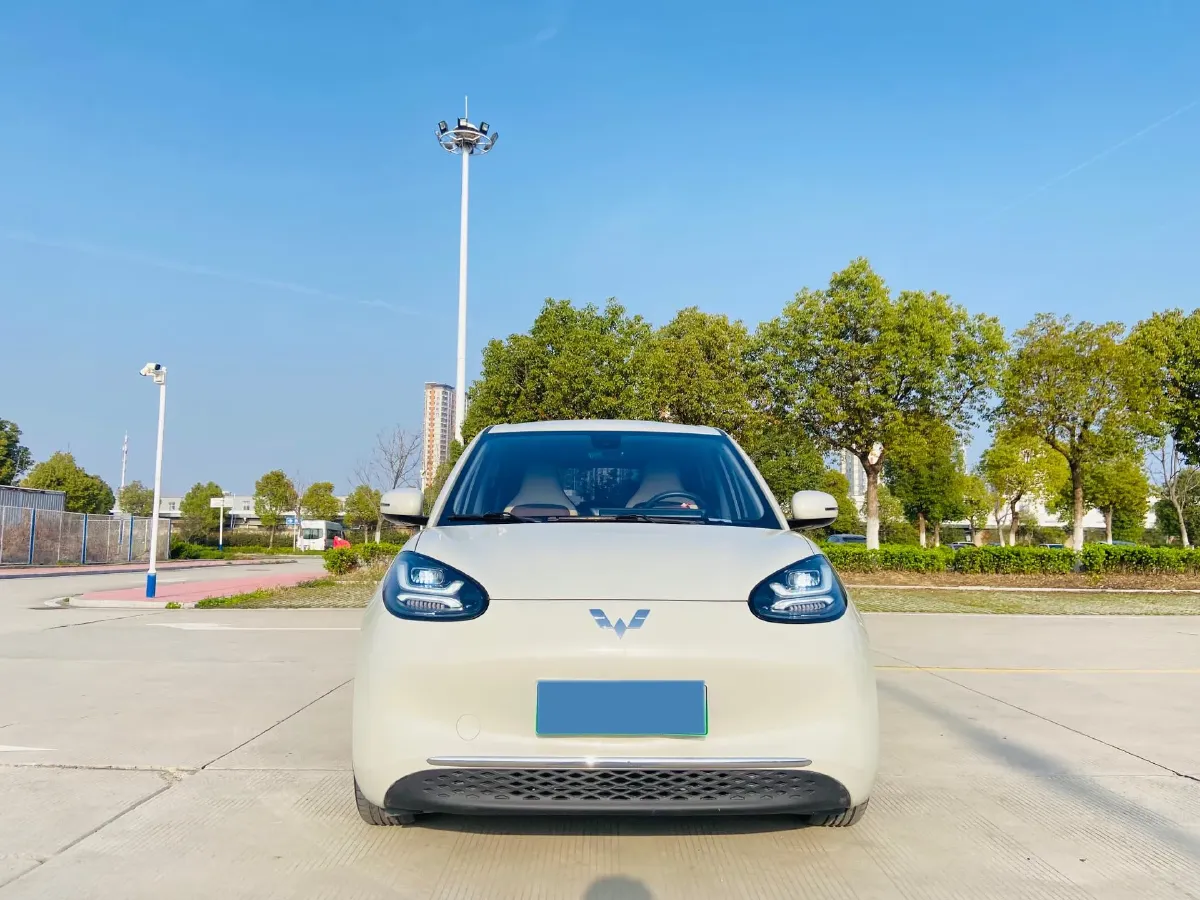 2023 WuLing BinGuo BEV 31.9KWH,autocango,china used car exporter,china ev exporter,chinese used car exporter,chinese used ev exporter