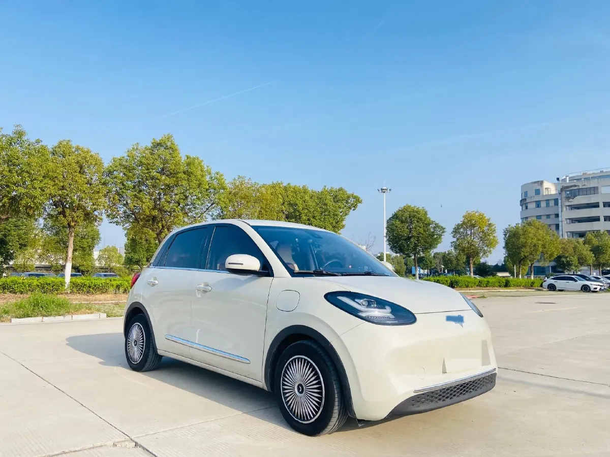 2023 WuLing BinGuo BEV 31.9KWH,autocango,china used car exporter,china ev exporter,chinese used car exporter,chinese used ev exporter