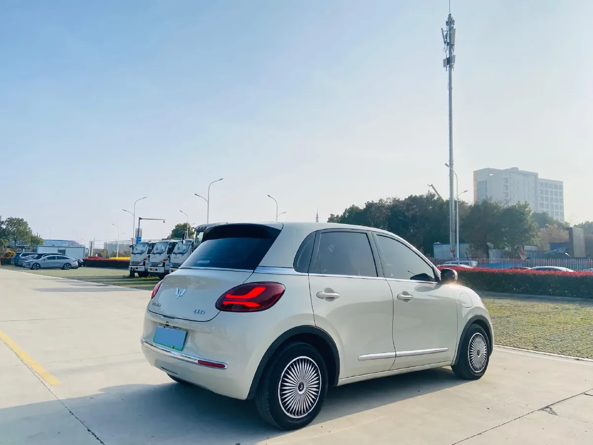 2023 WuLing BinGuo BEV 31.9KWH,autocango,china used car exporter,china ev exporter,chinese used car exporter,chinese used ev exporter