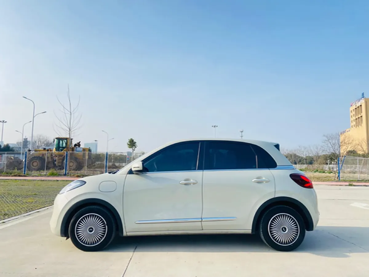 2023 WuLing BinGuo BEV 31.9KWH,autocango,china used car exporter,china ev exporter,chinese used car exporter,chinese used ev exporter