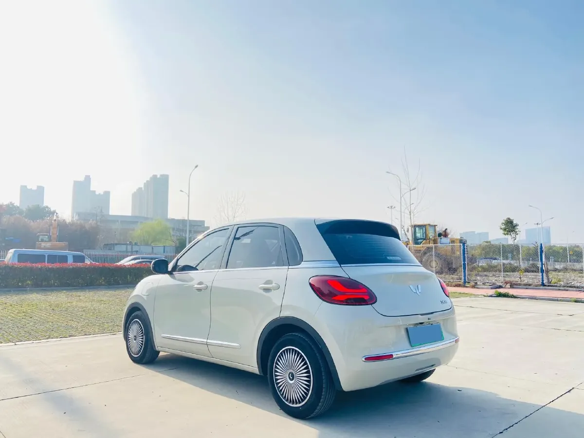 2023 WuLing BinGuo BEV 31.9KWH,autocango,china used car exporter,china ev exporter,chinese used car exporter,chinese used ev exporter