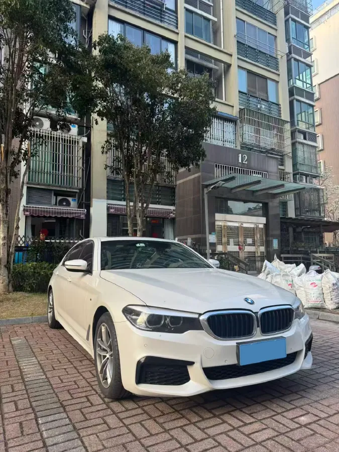 2020 BMW 5 Series 2.0T 184HP L4 8AT,autocango,china used car exporter,china ev exporter,chinese used car exporter,chinese used ev exporter
