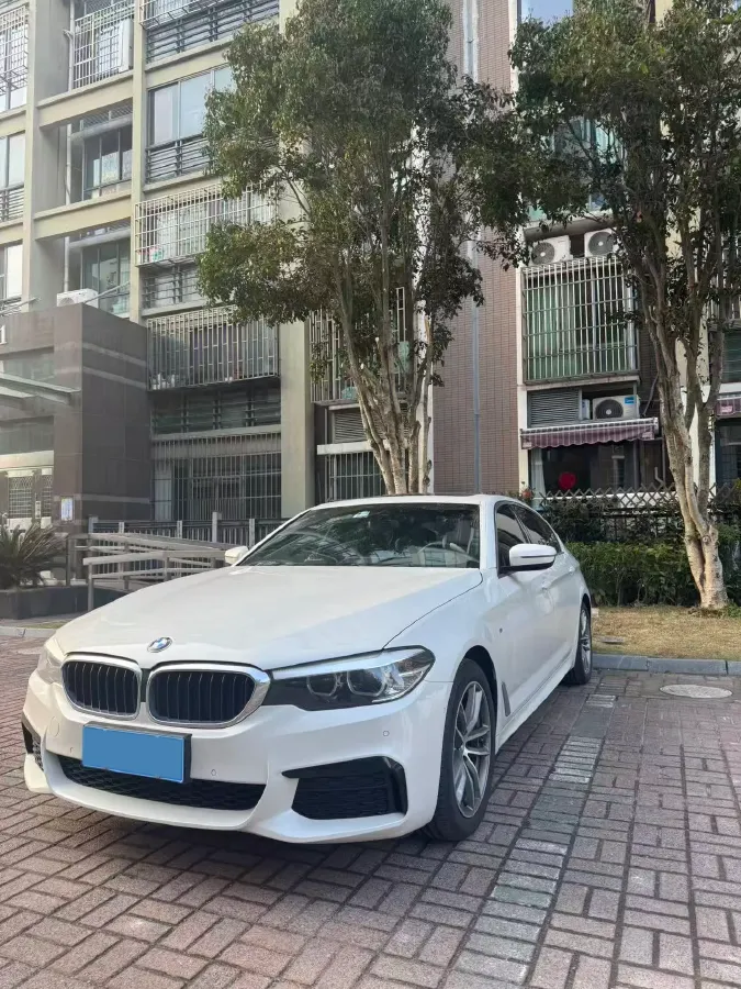 2020 BMW 5 Series 2.0T 184HP L4 8AT,autocango,china used car exporter,china ev exporter,chinese used car exporter,chinese used ev exporter