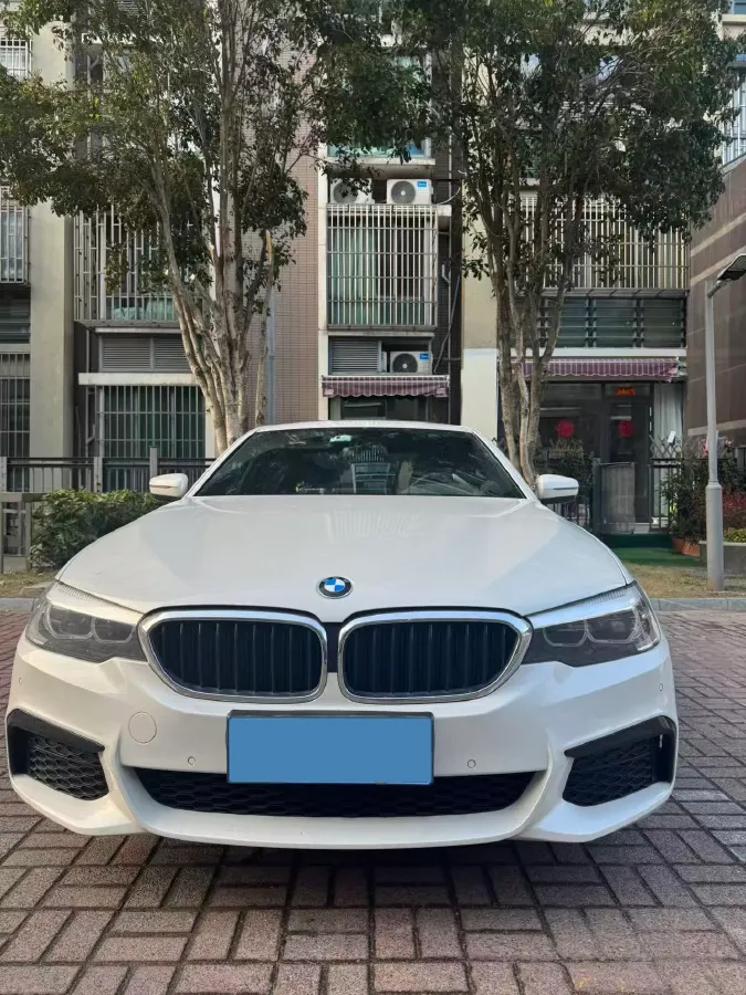 2020 BMW 5 Series 2.0T 184HP L4 8AT,autocango,china used car exporter,china ev exporter,chinese used car exporter,chinese used ev exporter