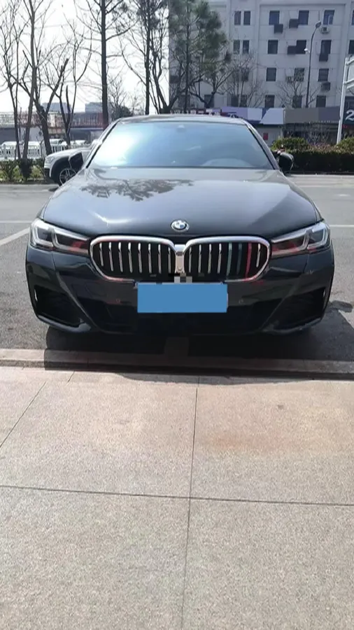 2021 BMW 5 Series 2.0T 184HP L4 8AT,autocango,china used car exporter,china ev exporter,chinese used car exporter,chinese used ev exporter