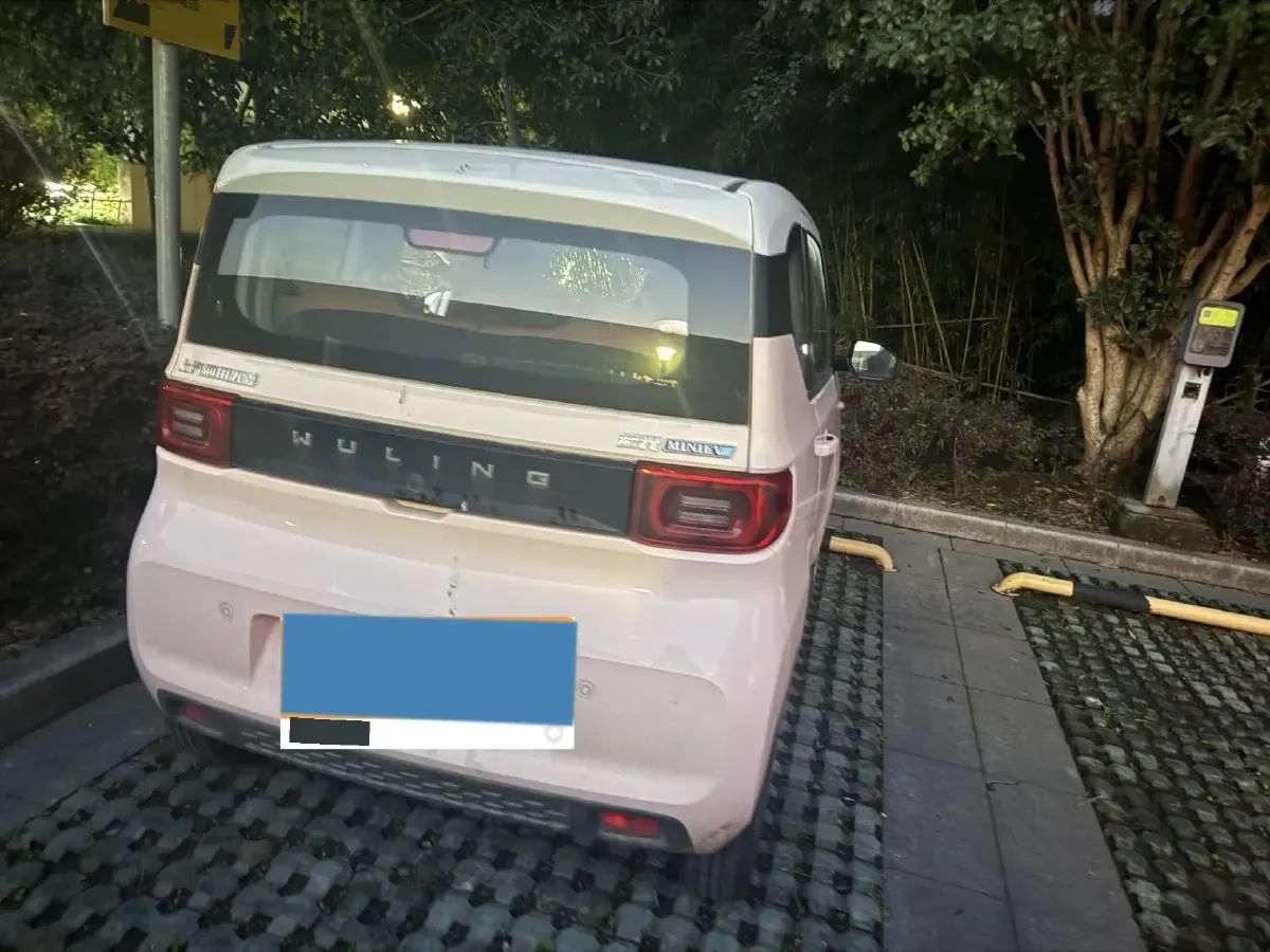 2021 WuLing HongGuang MINI EV BEV 13.9KWH,autocango,china used car exporter,china ev exporter,chinese used car exporter,chinese used ev exporter