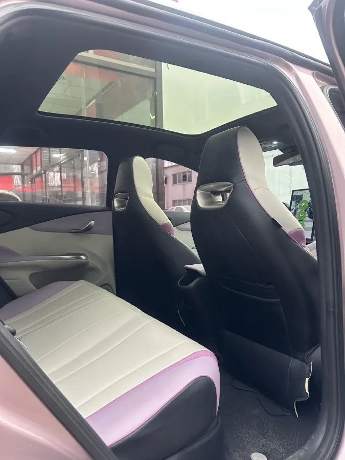 2023 BYD Dolphin BEV 44.928KWH,autocango,china used car exporter,china ev exporter,chinese used car exporter,chinese used ev exporter