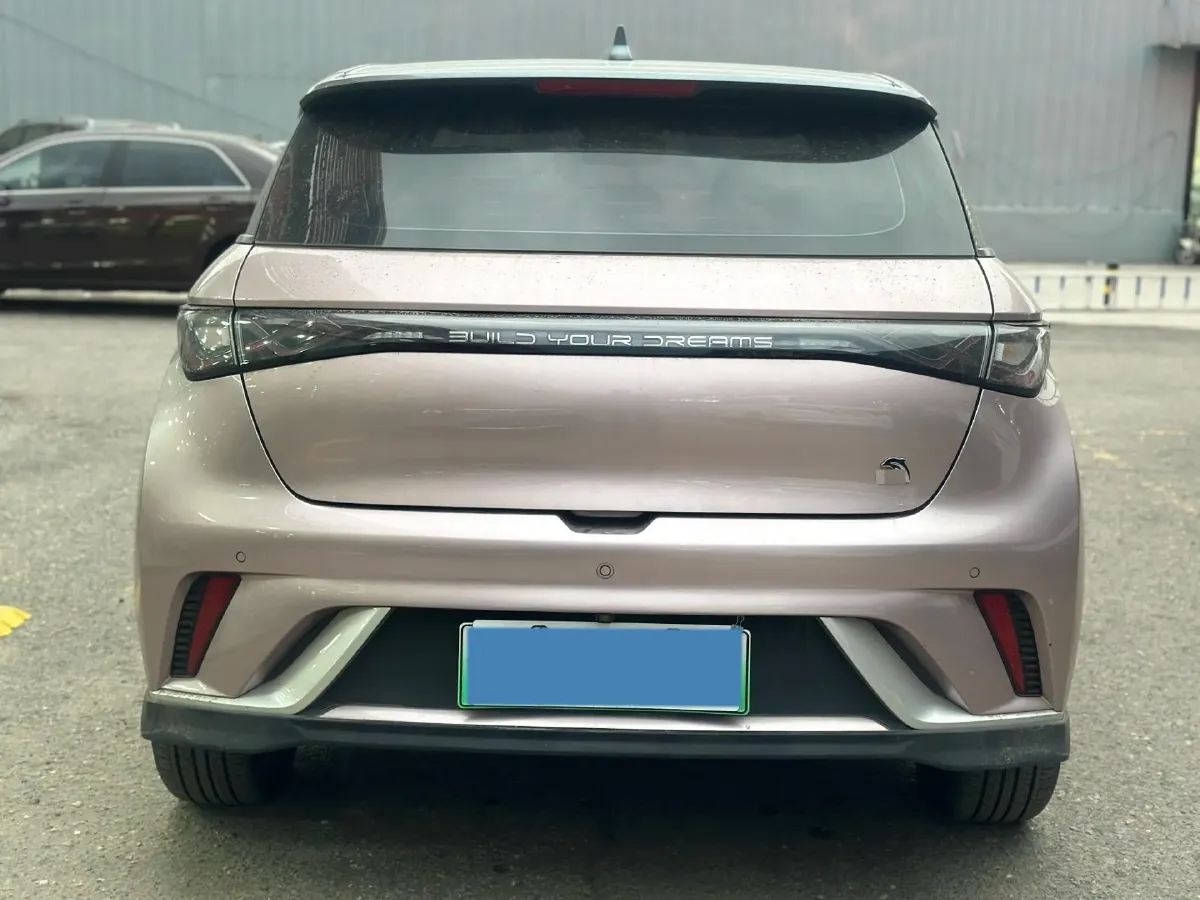 2023 BYD Dolphin BEV 44.928KWH,autocango,china used car exporter,china ev exporter,chinese used car exporter,chinese used ev exporter