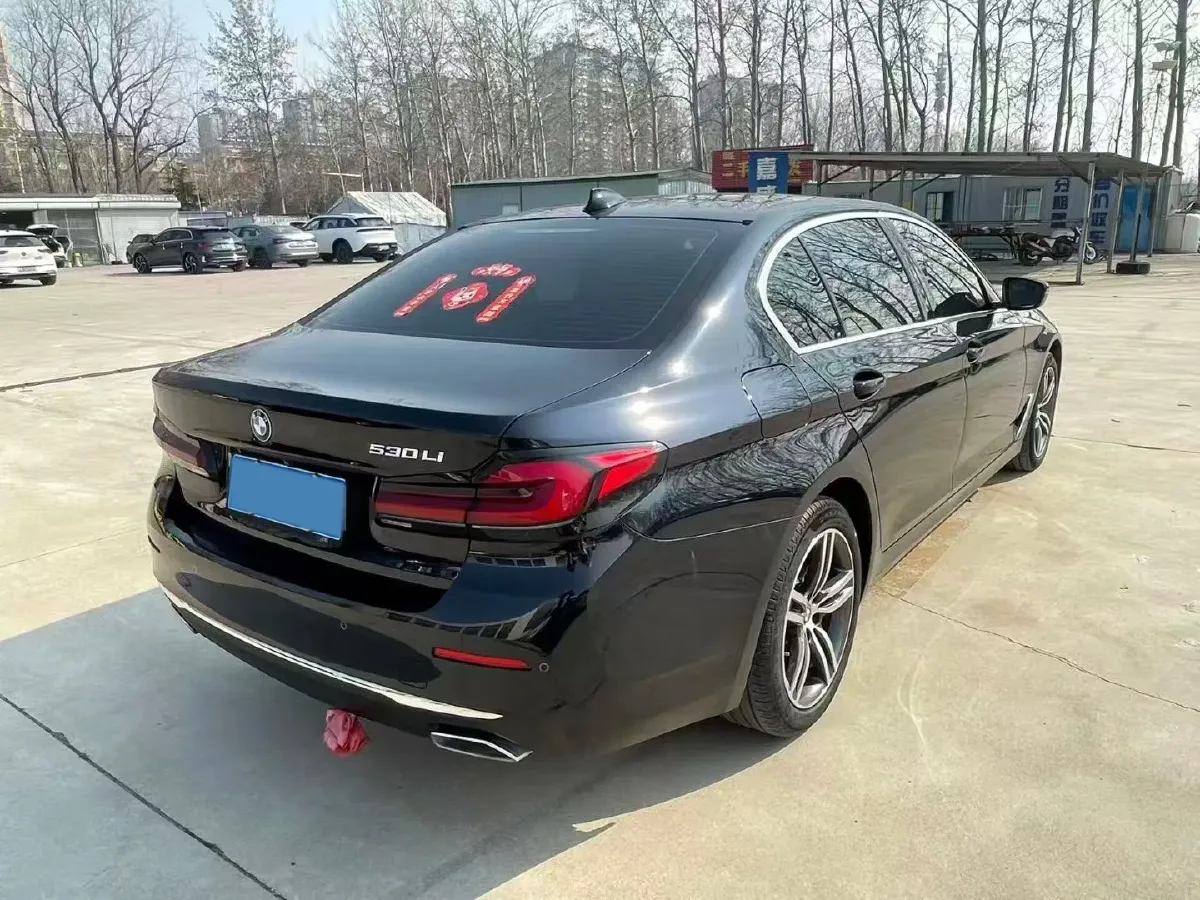 2021 BMW 5 Series 2.0T 252HP L4 8AT,autocango,china used car exporter,china ev exporter,chinese used car exporter,chinese used ev exporter