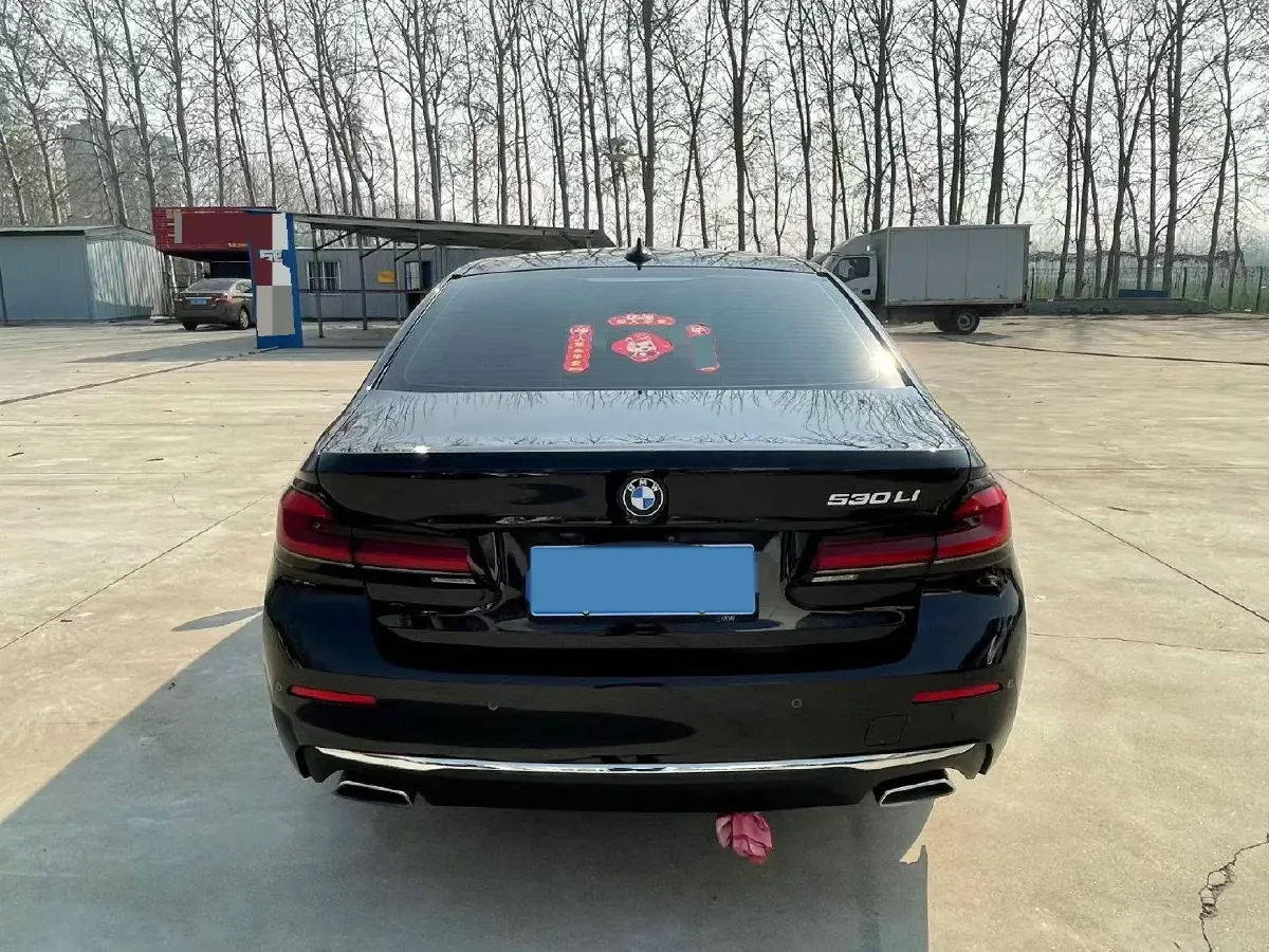 2021 BMW 5 Series 2.0T 252HP L4 8AT,autocango,china used car exporter,china ev exporter,chinese used car exporter,chinese used ev exporter