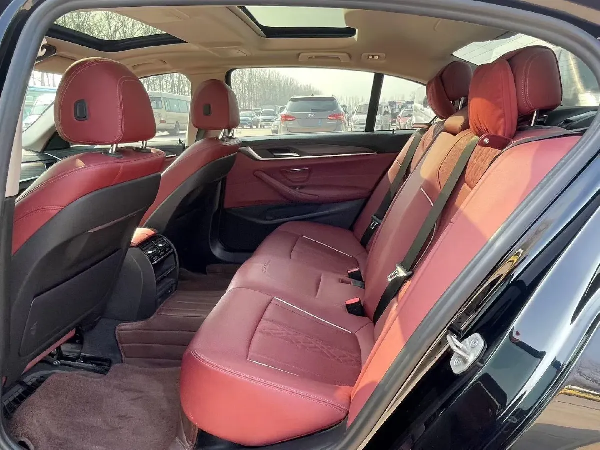 2021 BMW 5 Series 2.0T 252HP L4 8AT,autocango,china used car exporter,china ev exporter,chinese used car exporter,chinese used ev exporter