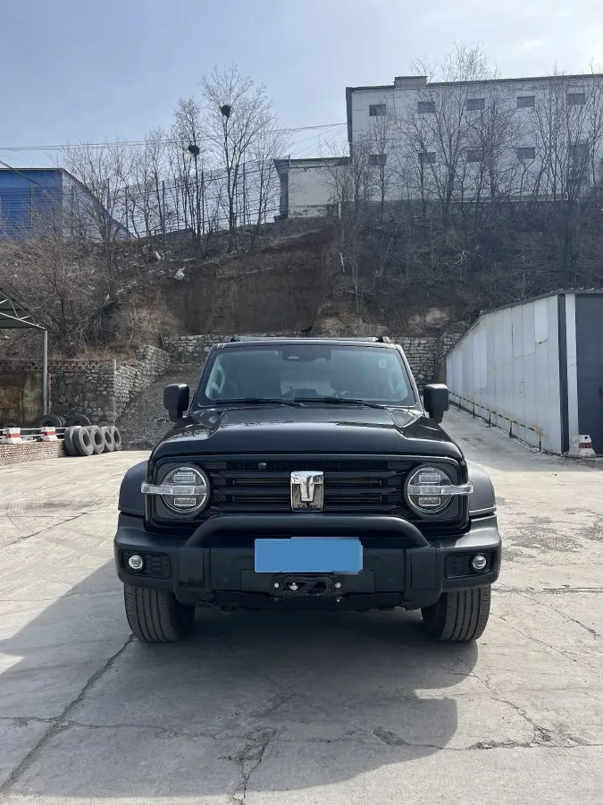 2021 Tank 300 2.0T 227HP L4 8AT,autocango,china used car exporter,china ev exporter,chinese used car exporter,chinese used ev exporter