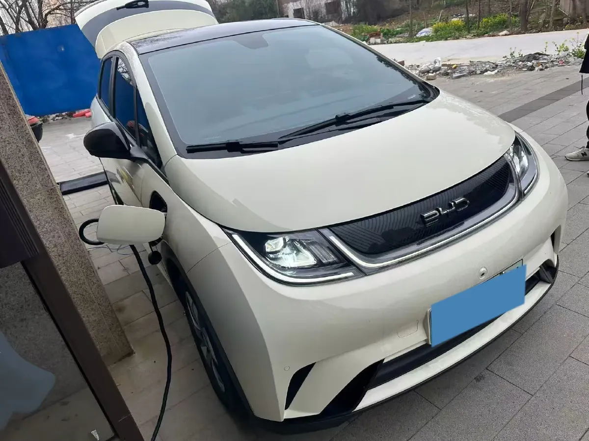 2025 BYD Dolphin BEV 44.928KWH,autocango,china used car exporter,china ev exporter,chinese used car exporter,chinese used ev exporter
