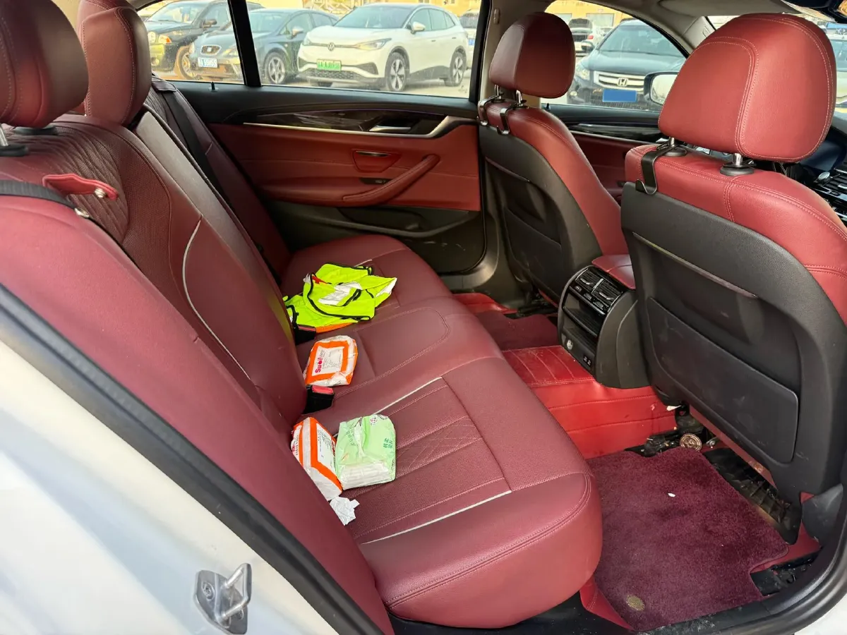 2021 BMW 5 Series 2.0T 184HP L4 8AT,autocango,china used car exporter,china ev exporter,chinese used car exporter,chinese used ev exporter