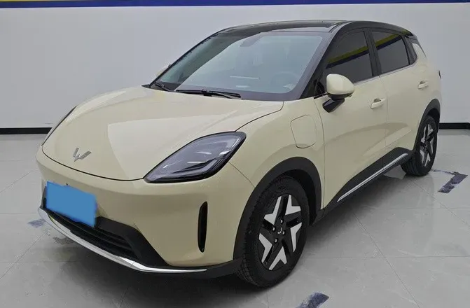 2025 WuLing BinGuo BEV,autocango,china used car exporter,china ev exporter,chinese used car exporter,chinese used ev exporter