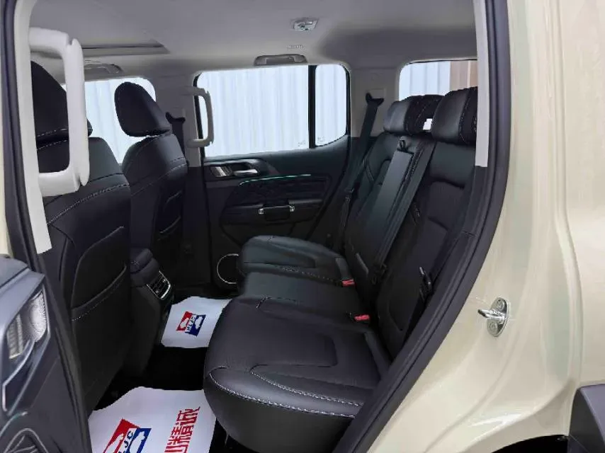 2024 Tank 300 2.0T 227HP L4 8AT,autocango,china used car exporter,china ev exporter,chinese used car exporter,chinese used ev exporter