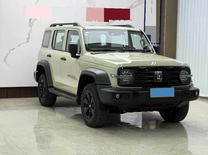 2024 Tank 300 2.0T 227HP L4 8AT,autocango,china used car exporter,china ev exporter,chinese used car exporter,chinese used ev exporter