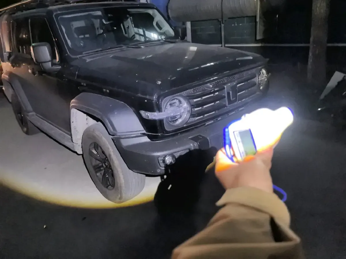 2025 Tank 300 2.0T 227HP L4 9AT,autocango,china used car exporter,china ev exporter,chinese used car exporter,chinese used ev exporter