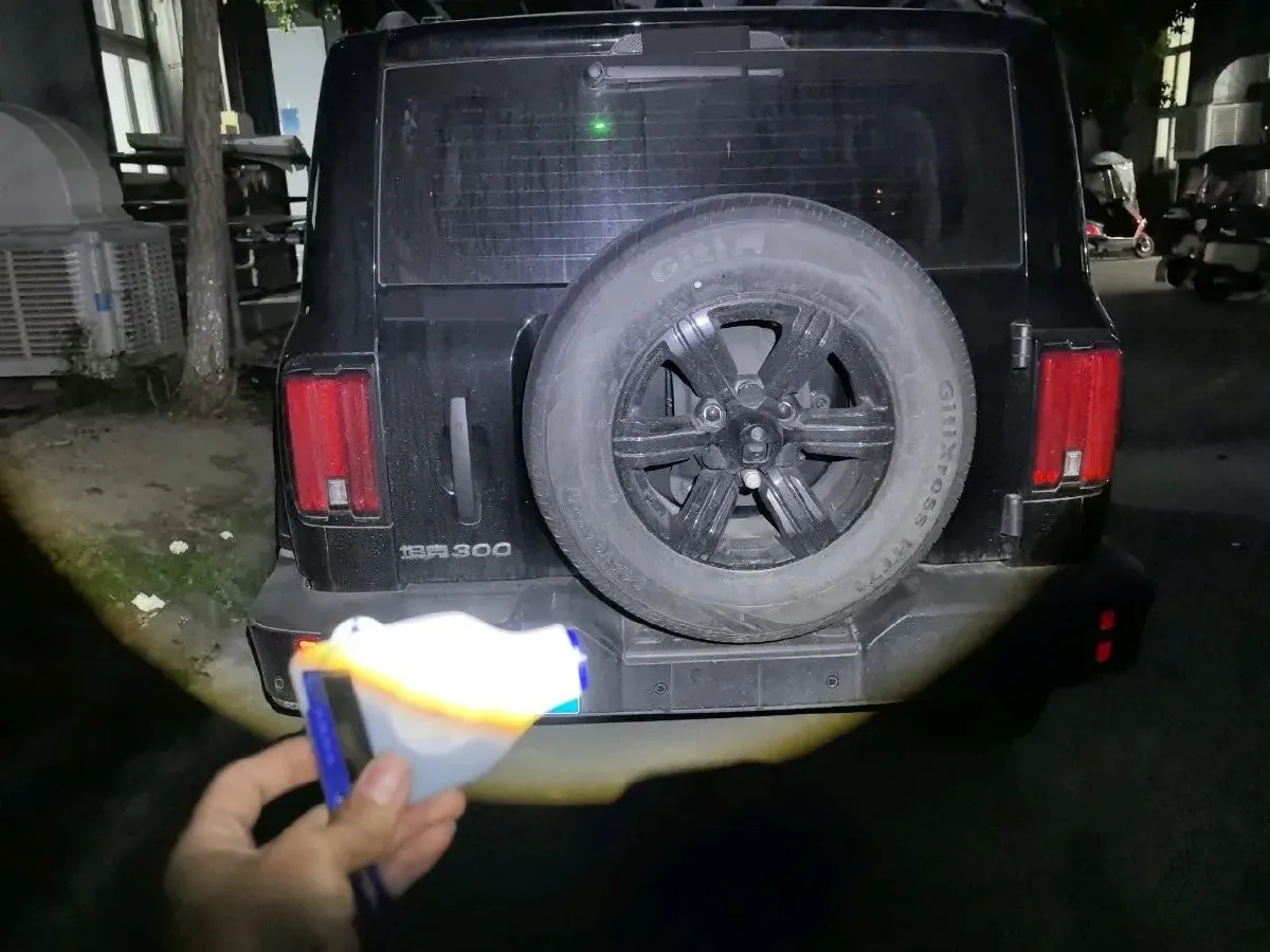 2025 Tank 300 2.0T 227HP L4 9AT,autocango,china used car exporter,china ev exporter,chinese used car exporter,chinese used ev exporter