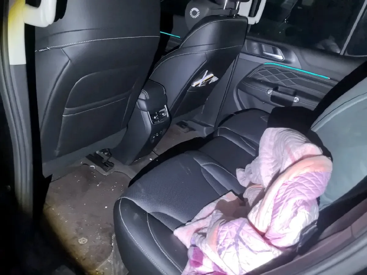 2025 Tank 300 2.0T 227HP L4 9AT,autocango,china used car exporter,china ev exporter,chinese used car exporter,chinese used ev exporter