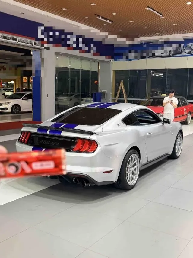 2018 Yema T80 2.0T 204HP L4 6DCT,autocango,china used car exporter,china ev exporter,chinese used car exporter,chinese used ev exporter