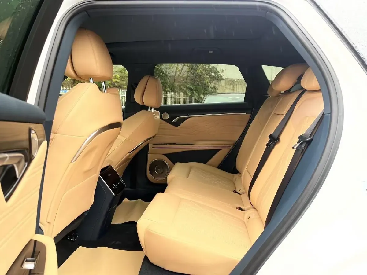 2024 Voyah FREE 1.5T 150HP L4 REEV 39.2KWH,autocango,china used car exporter,china ev exporter,chinese used car exporter,chinese used ev exporter