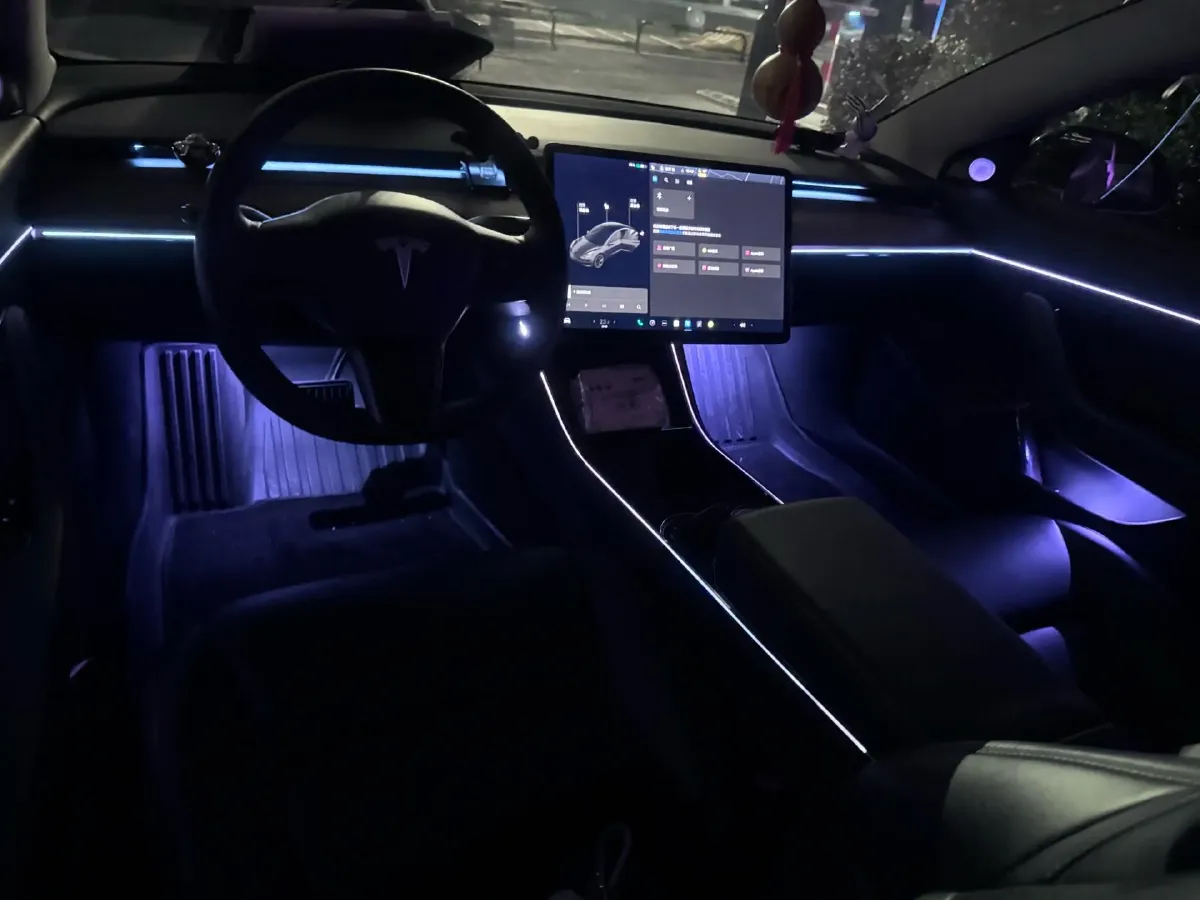 2020 Tesla Model 3 BEV 55KWH,autocango,china used car exporter,china ev exporter,chinese used car exporter,chinese used ev exporter