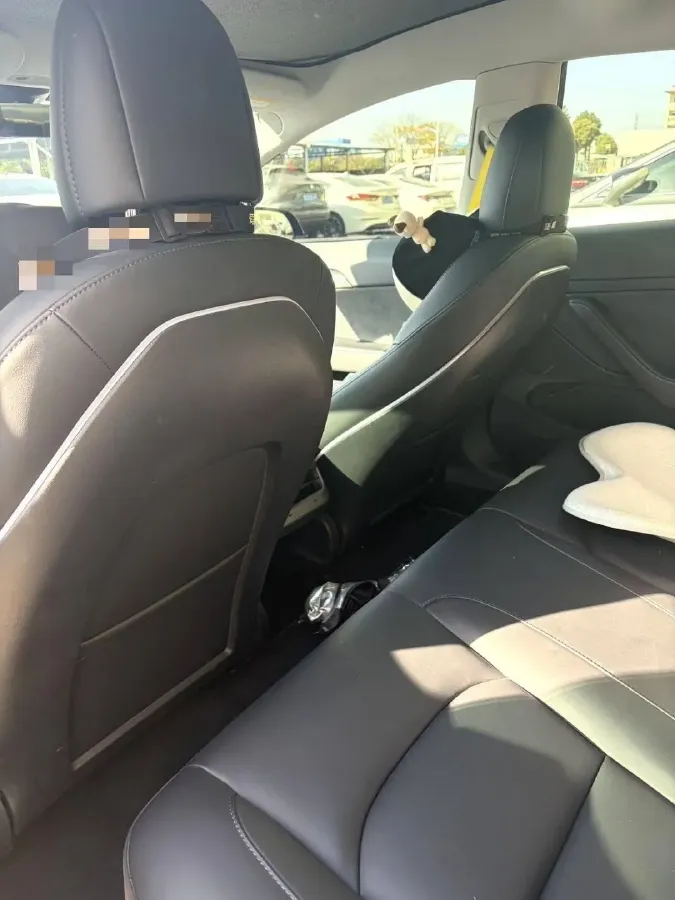 2021 Tesla Model 3 BEV 76.8KWH,autocango,china used car exporter,china ev exporter,chinese used car exporter,chinese used ev exporter