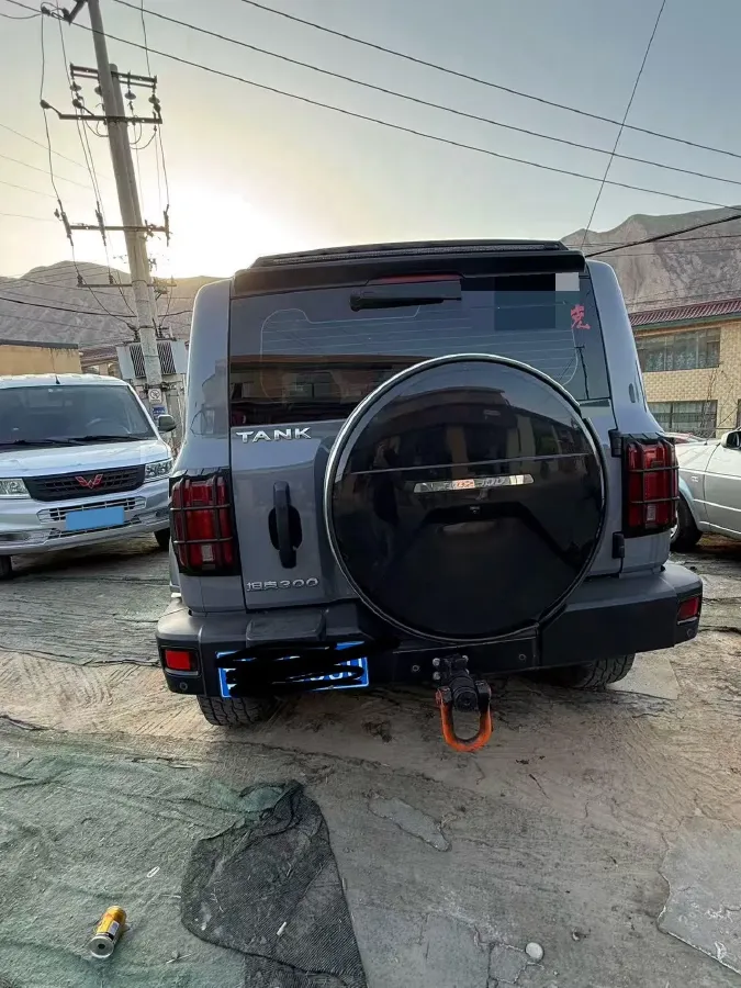 2021 Tank 300 2.0T 227HP L4 8AT,autocango,china used car exporter,china ev exporter,chinese used car exporter,chinese used ev exporter