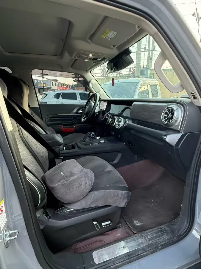 2021 Tank 300 2.0T 227HP L4 8AT,autocango,china used car exporter,china ev exporter,chinese used car exporter,chinese used ev exporter