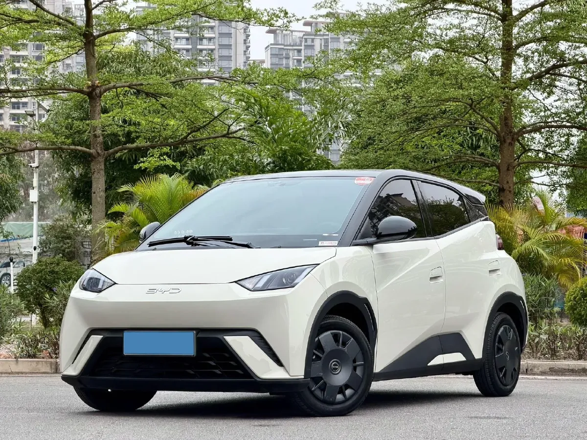 2024 BYD Seagull BEV 30.08KWH,autocango,china used car exporter,china ev exporter,chinese used car exporter,chinese used ev exporter