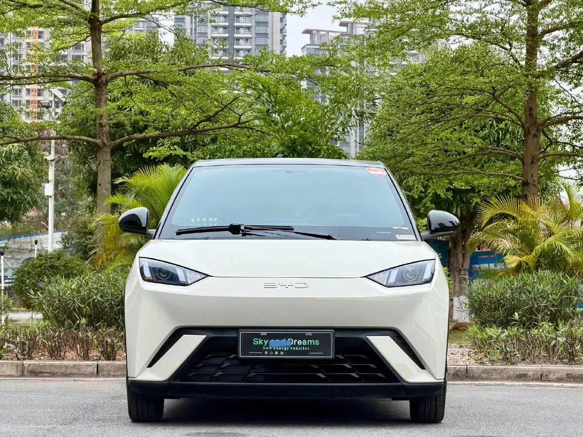 2024 BYD Seagull BEV 30.08KWH,autocango,china used car exporter,china ev exporter,chinese used car exporter,chinese used ev exporter