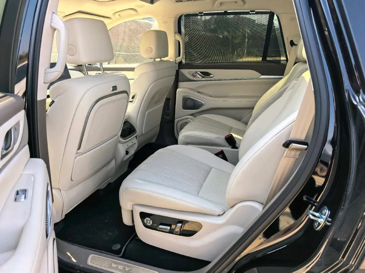 2025 WEY BlueMountain 1.5T 170HP L4 4DHT PHEV 44.5KWH,autocango,china used car exporter,china ev exporter,chinese used car exporter,chinese used ev exporter