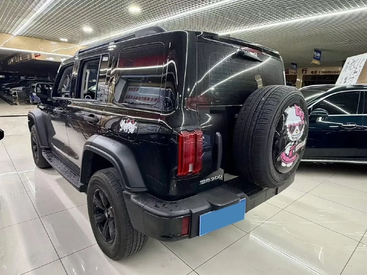 2024 Tank 300 2.0T 227HP L4 8AT,autocango,china used car exporter,china ev exporter,chinese used car exporter,chinese used ev exporter