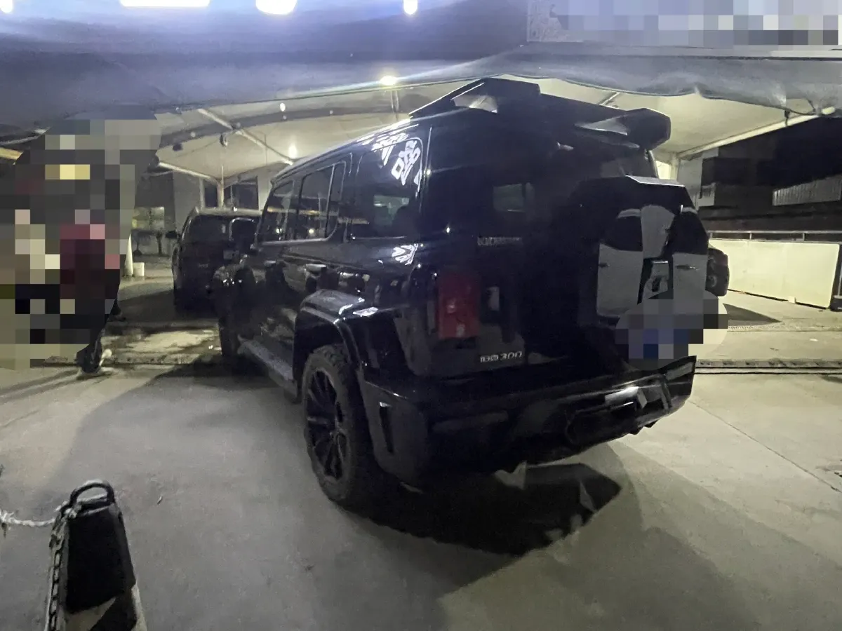 2024 Tank 300 2.0T 227HP L4 8AT,autocango,china used car exporter,china ev exporter,chinese used car exporter,chinese used ev exporter