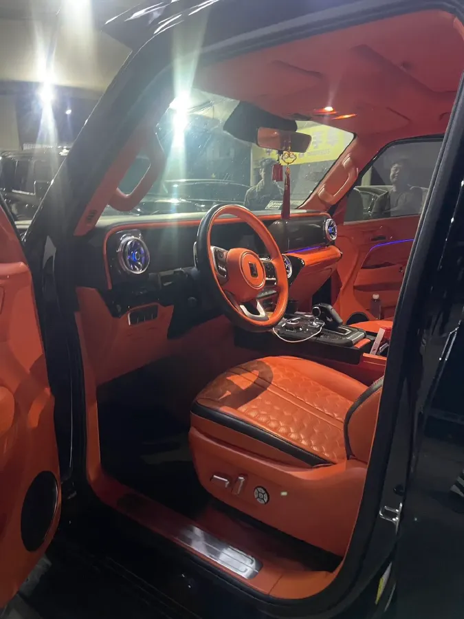 2024 Tank 300 2.0T 227HP L4 8AT,autocango,china used car exporter,china ev exporter,chinese used car exporter,chinese used ev exporter