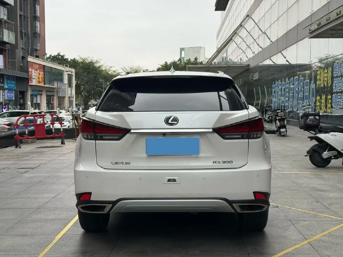 2020 Lexus RX 2.0T 231HP L4 6AT,autocango,china used car exporter,china ev exporter,chinese used car exporter,chinese used ev exporter
