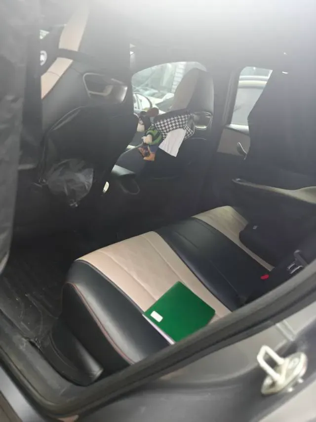 2023 BYD Dolphin BEV 44.928KWH,autocango,china used car exporter,china ev exporter,chinese used car exporter,chinese used ev exporter